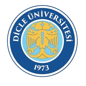 Dicle University
