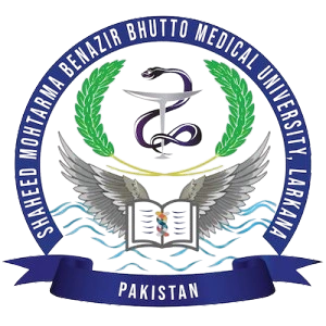 Shaheed Mohtarma Benazir Bhutto Medical University